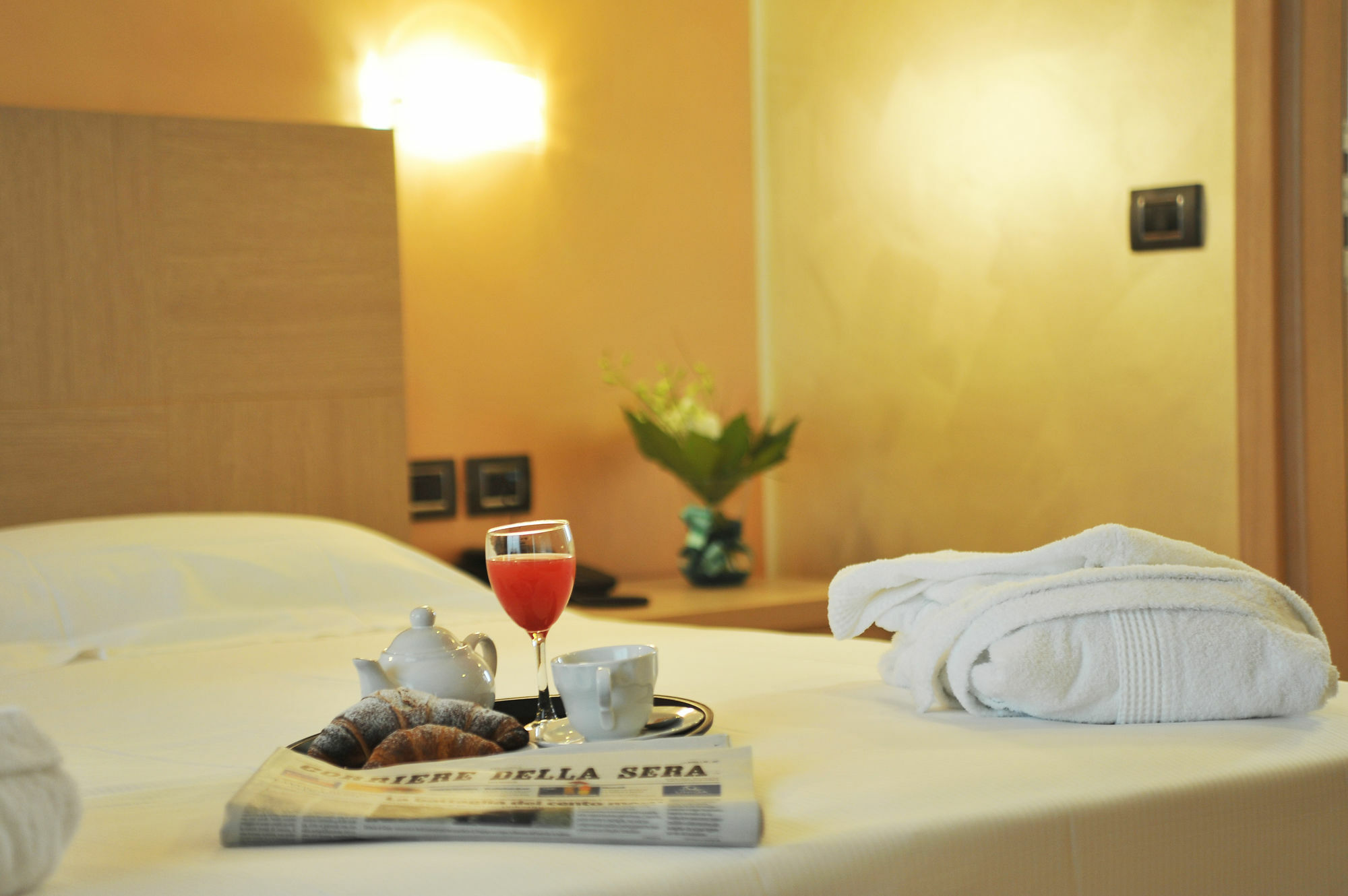 Palace Zingonia 4*